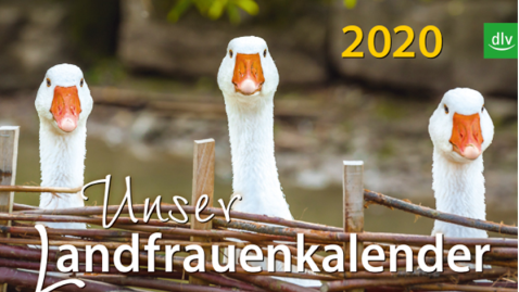 Landfrauenkalender mit Gänse