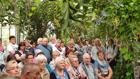 Orchideen Landfrauen