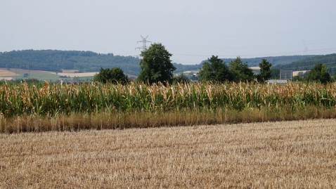 2019-07-22-Dürre