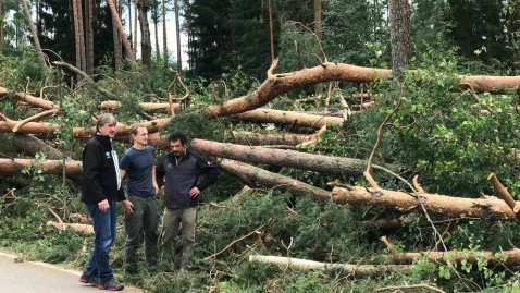 BBV-Bezirkspräsident Günther Felßner begutachtet die Unwetterschäden in einem Wald