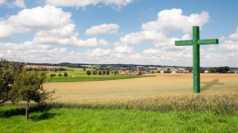 Symbolbild grünes Kreuz