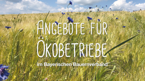 Angebote für Ökobetriebe im Bayerischen Bauernverband