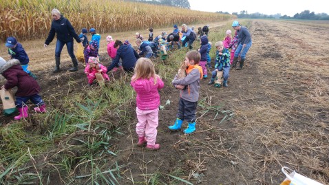 Kindertag-Lauingen-Kugler