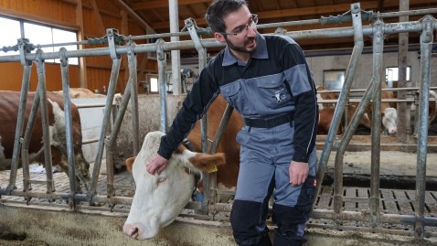 Beruhigungspunkte beim RInd