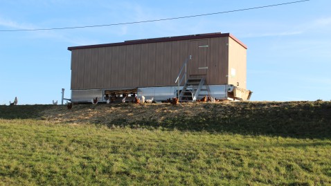 2020-01-15 Stallgespräch Holl 
