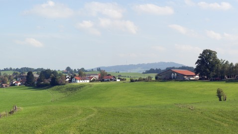 Landschaft