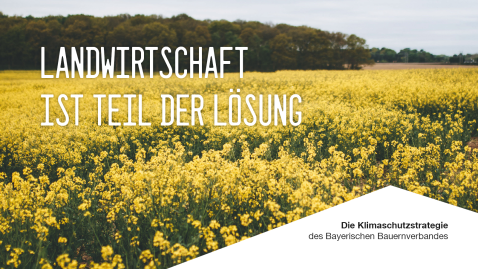 Landwirtschaft ist Teil der Lösung beim Thema Klimaschutz