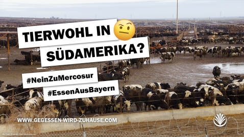 Mercosur