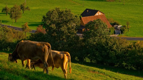 2020-02-03-Nebenerwerbslandwirtschaft