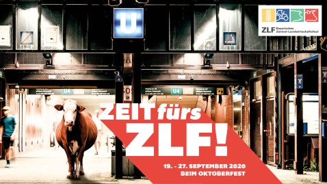 ZLF Motiv Kuh U-Bahn