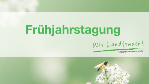 Frühjahrstagung