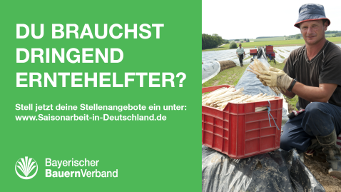 Sharepic Erntehelfer gesucht