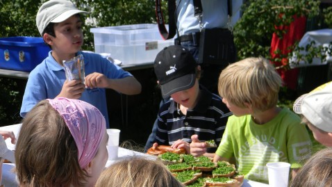 Kinder lernen über Lebvensmittel