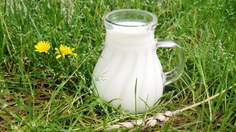 Ein kleines Milchkännchen steht im Gras.