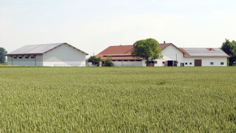 Ein Bauernhof mit Feld Getreidefeld im Vordergrund. 