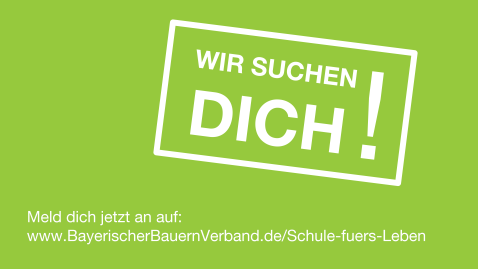 Wir suchen Dich! Alltagskompetenz - Schule fürs Leben