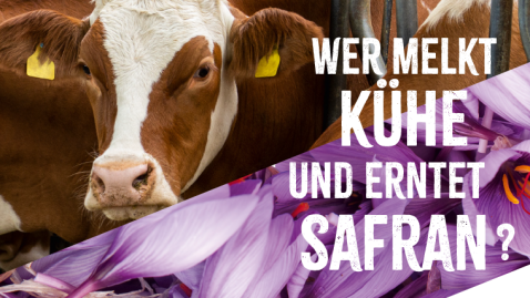 Heimat der Vielfalt 