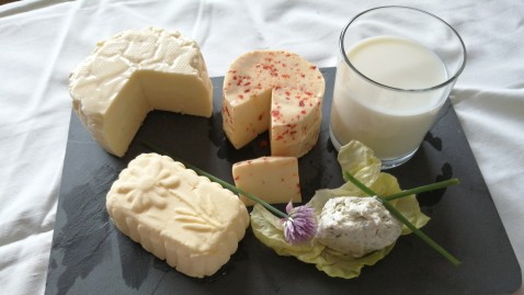 Käseplatte
