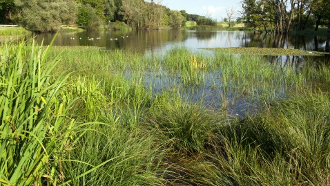 Landschaft mit See