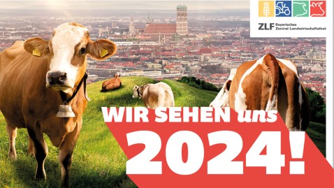 Nächstes ZLF 2024