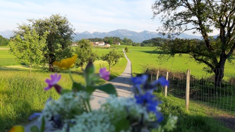 Radweg in Oberbayern