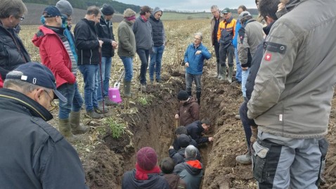 Betriebsentwicklungsseminar Bodenfruchtbarkeit