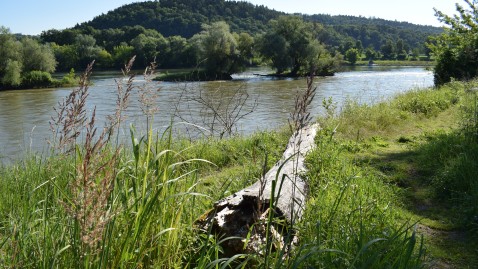 Isarmündungsgebiet