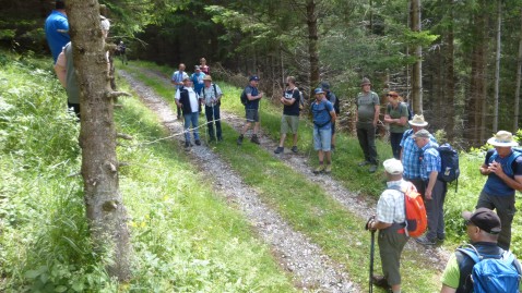 Waldbegang Arge Jagd OAL 2020