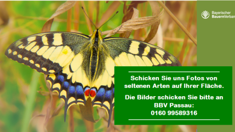 Fotos Artenvielfalt