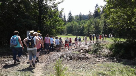 Landwirtschaftsweg Samerberg