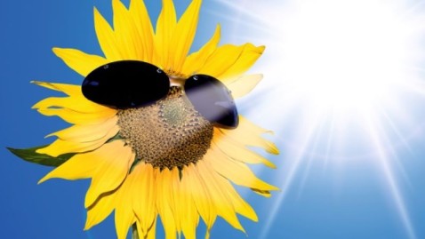 Sonnenschutz