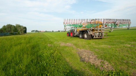 Traktor mit Güllefass auf einer Wiese.