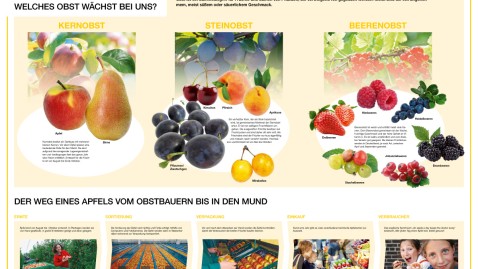 Unterrichtsposter Heimisches Obst