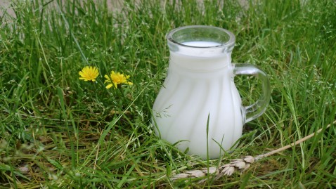 Weltschulmilchtag