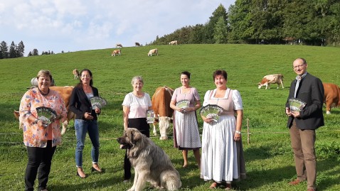 Pressegespräch Hundekotflyer