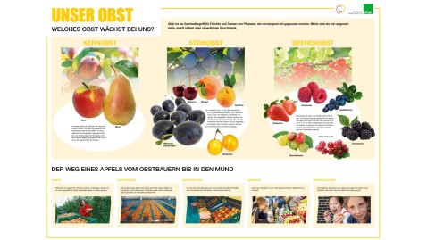 Das neue Unterrichtsposter der ima zum Thema Obst. 