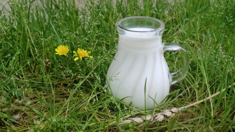 Milchkanne im Glas