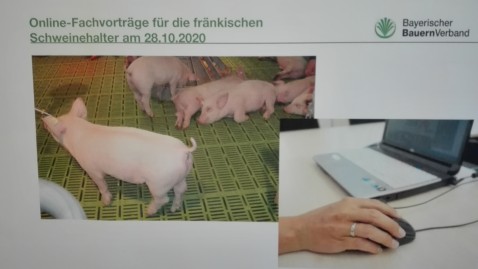 Schweinehalter Online Fachvorträge