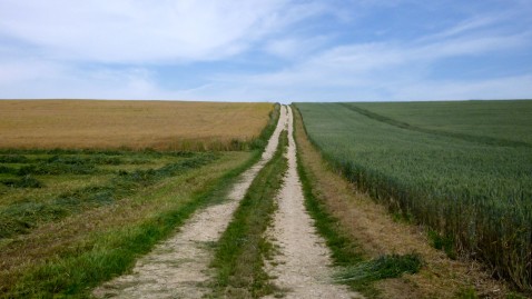 Kernwege-Höchstädt
