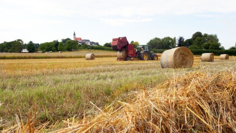 Getreidefeld wird abgerntet.