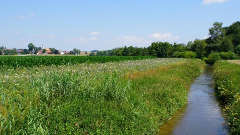 Bachlauf