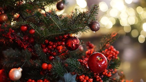 Weihnachtsbaum