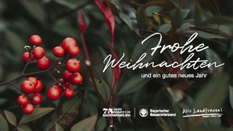 Weihnachtsgrüße