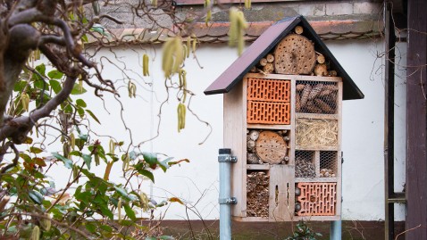 Insektenhotel vor Terrasse