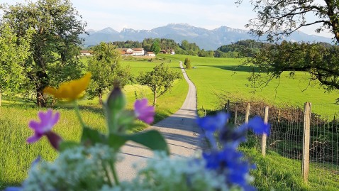 Chiemgau mit Bergen im Hintergrund