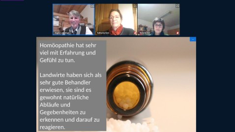 Online-Kurs Rinderhomöopathie mit Angela Lamminger