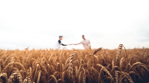 Feld mit zwei jungen Landwirten