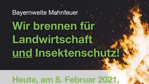 Mahnfeuer Aktion Insektenschutzgesetz