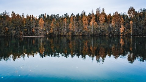 See mit Bäumen im Hintergrund. 