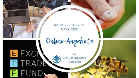 Bilder mit Logo